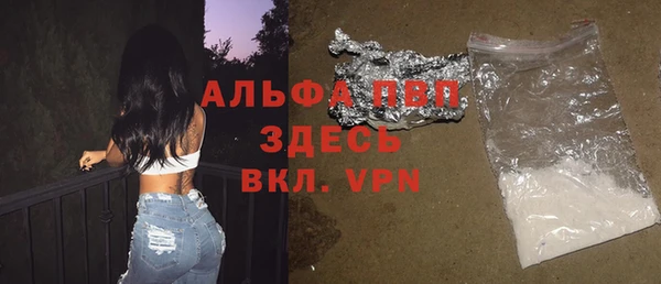 молекула духа Алексеевка