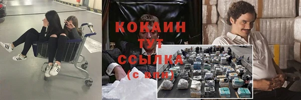 PSILOCYBIN Алзамай