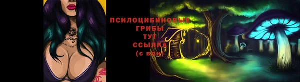 тгк Алексин