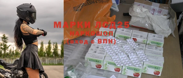 PSILOCYBIN Алзамай