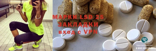 PSILOCYBIN Алзамай